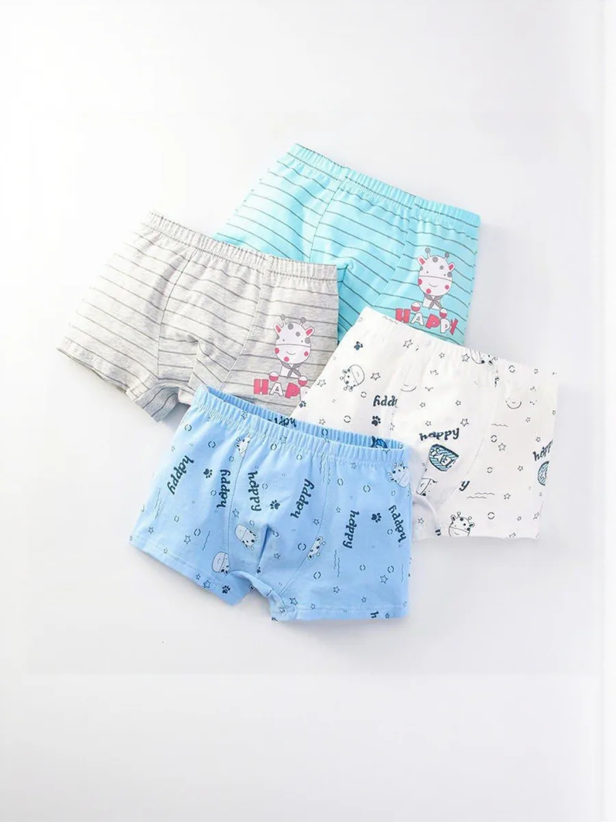 Pack of 2 Boy Shorts Briefs