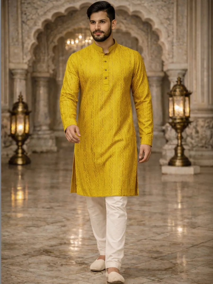 Embroidered Festive Kurta