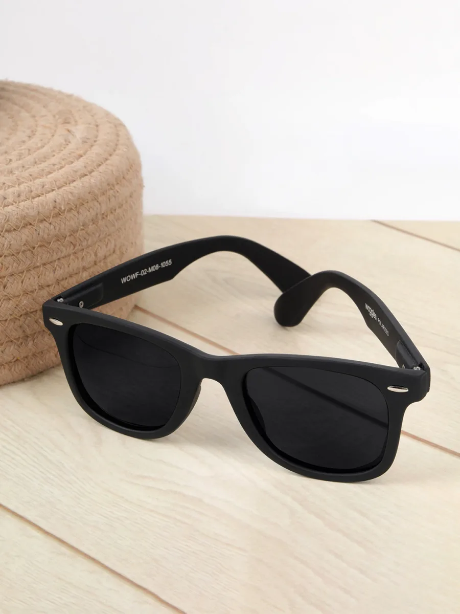 Matte Black Wayfarer Sunglasses