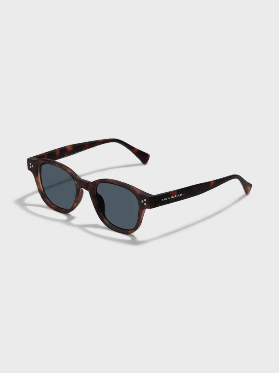 Brown Tortoise Square Sunglasses
