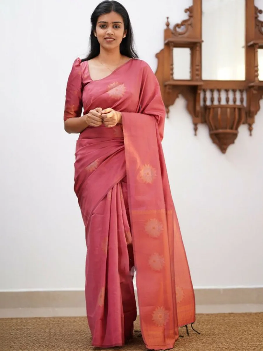 Chiffon Saree — Ivory