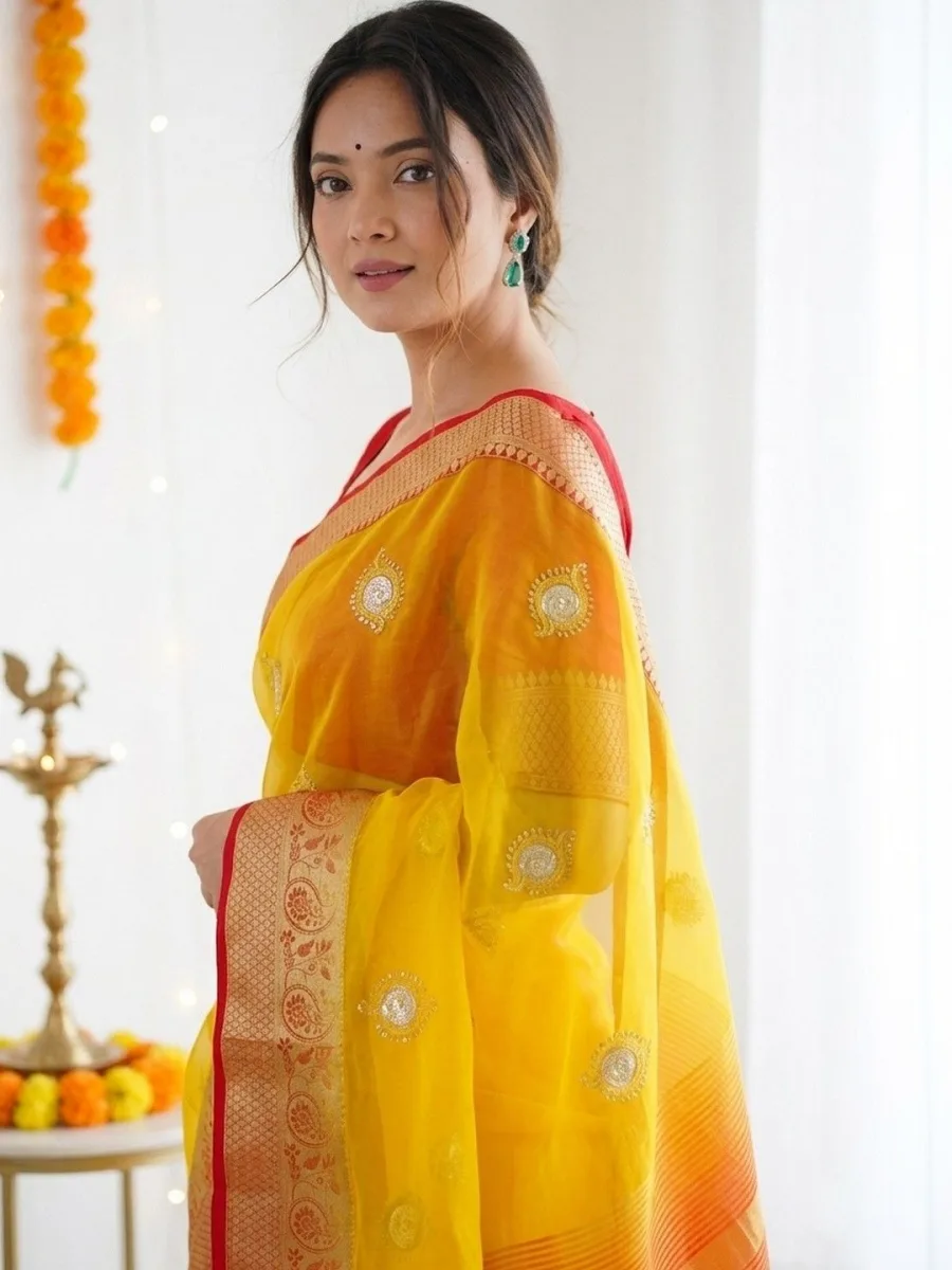 Banarasi Silk Sari