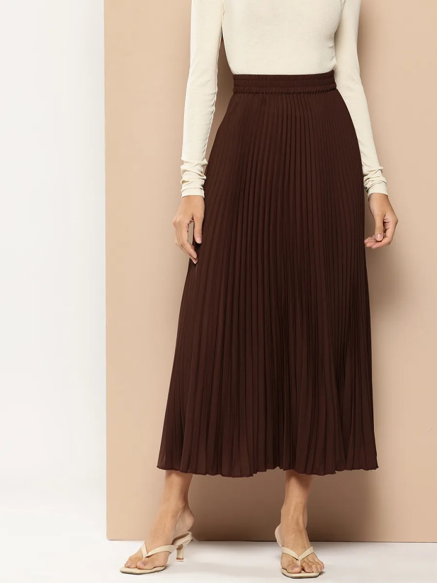 Accordion Pleats Flared Skirt