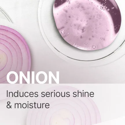 Everyday Conditioner — Champagne
