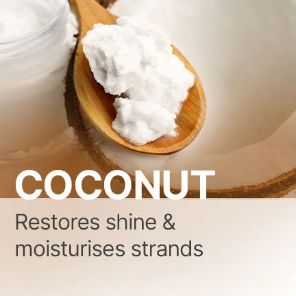 Matte Shampoo — Honey